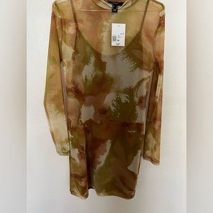 Mesh dress with brown slip.